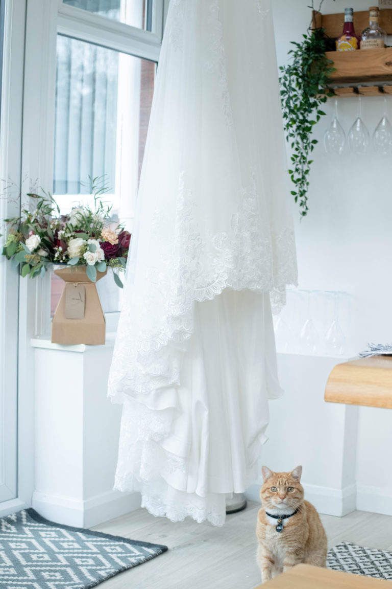 Bride’s dress hanging in the conservatory guarded by Eddie the Cat